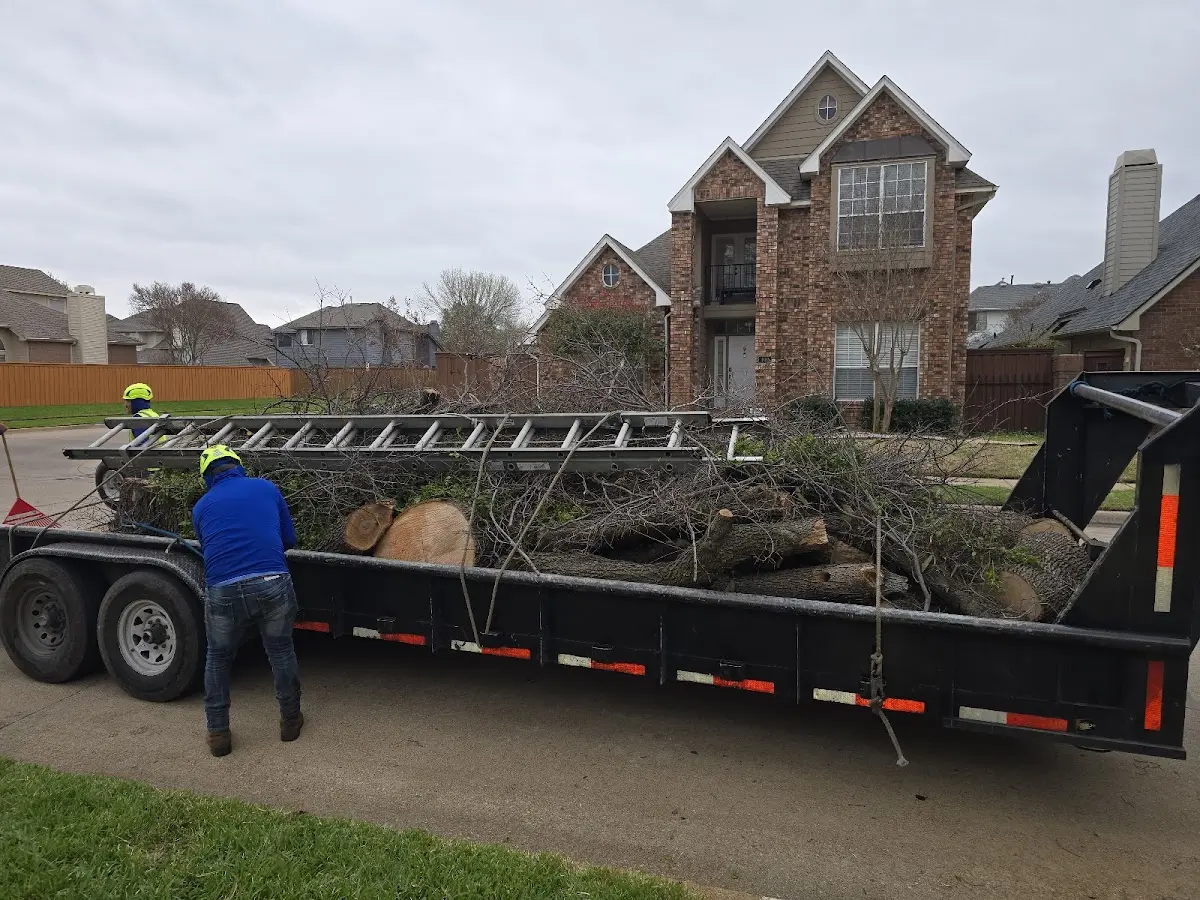 Expert Tree Removal with proper safety equipment in Niantic
